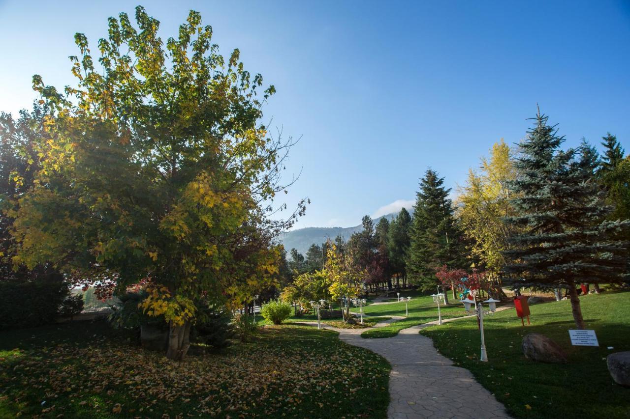Abant Palace Hotel Екстериор снимка
